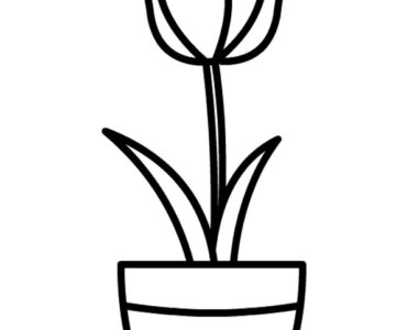 vase tulip