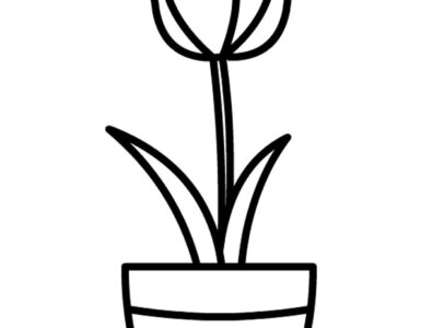 vase tulip