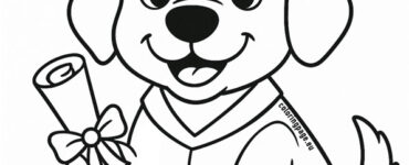 dog graduation design