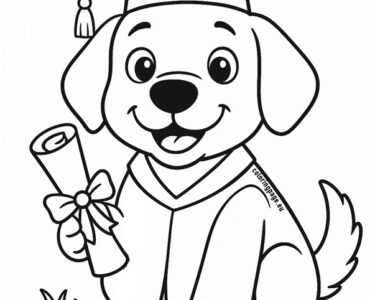 dog graduation design