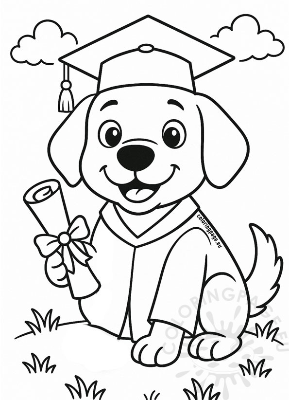 dog graduation design