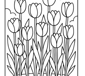 flower bed tulips