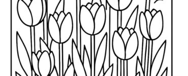 flower bed tulips
