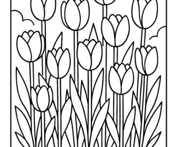 flower bed tulips