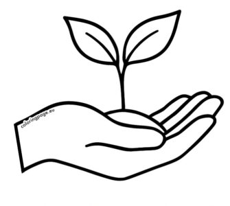hand holding seedling