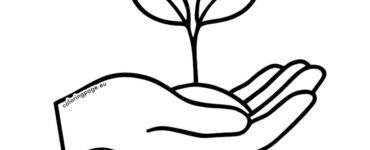 hand holding seedling