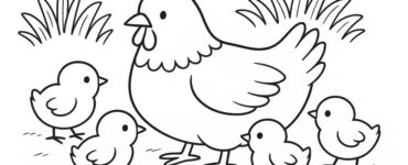 hen chicks