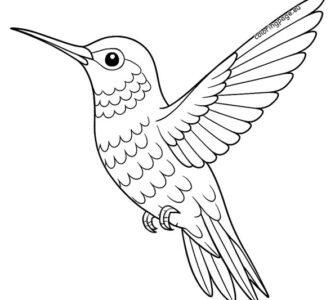 hummingbird