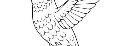 hummingbird