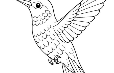 hummingbird