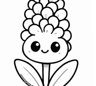 hyacinth