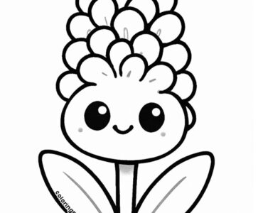 hyacinth