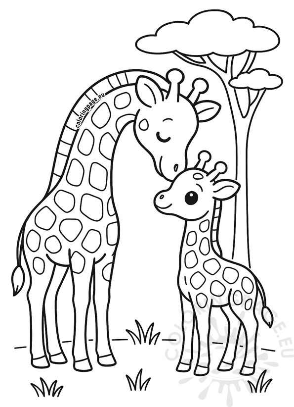 mother baby giraffe