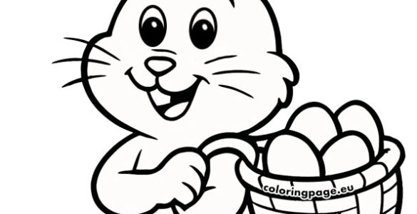 rabbit holding basket