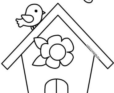 bird and bird house
