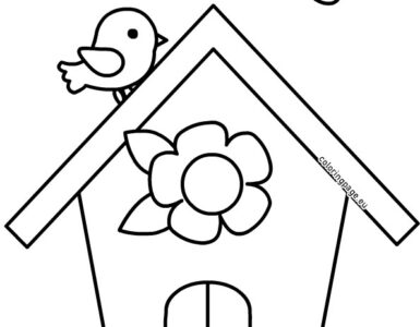 bird and bird house