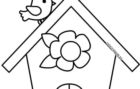 bird and bird house