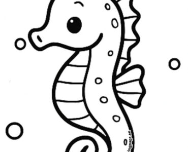 cute seahorse