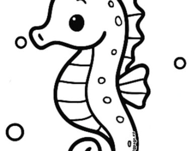cute seahorse