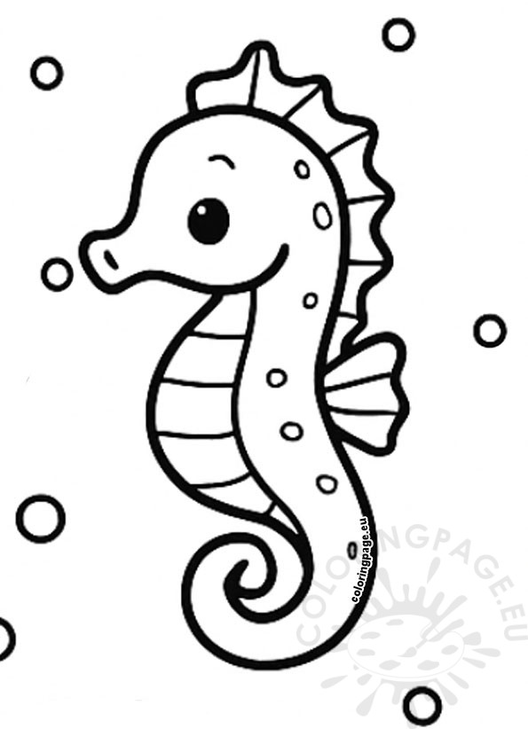 cute seahorse