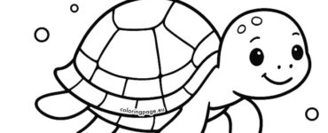 printable sea turtle