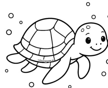 printable sea turtle