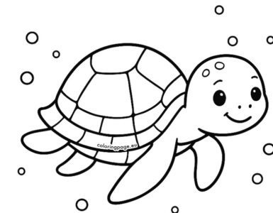 printable sea turtle