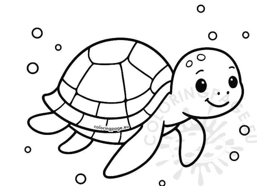 printable sea turtle