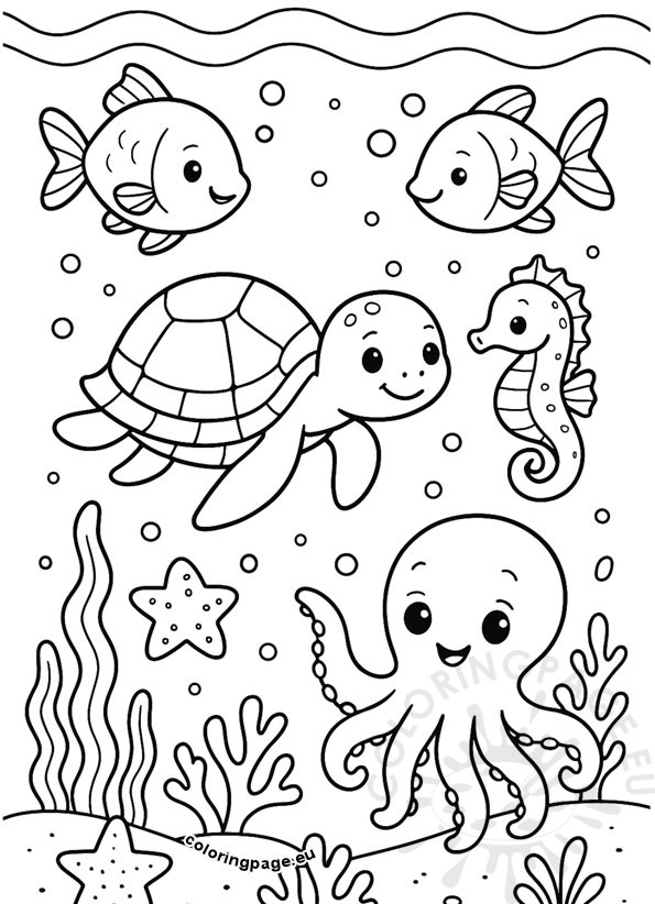 underwater ocean