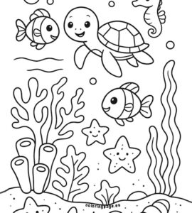 coral reef