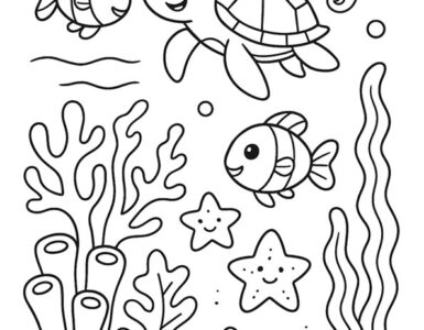 coral reef