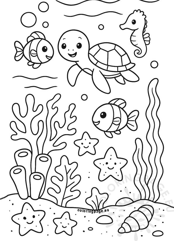 coral reef