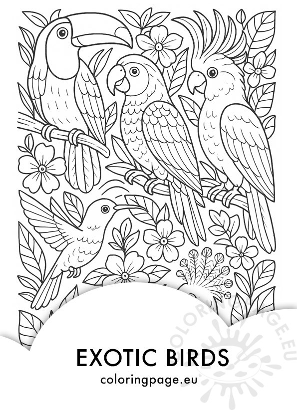 Exotic birds coloring page with toucan, parrot, cockatoo, hummingbird, and crowned pigeon among tropical flowers and leaves.