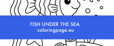 fish under the sea