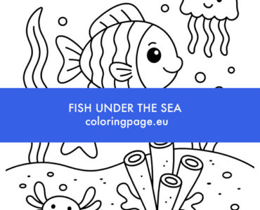 fish under the sea