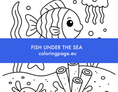 fish under the sea