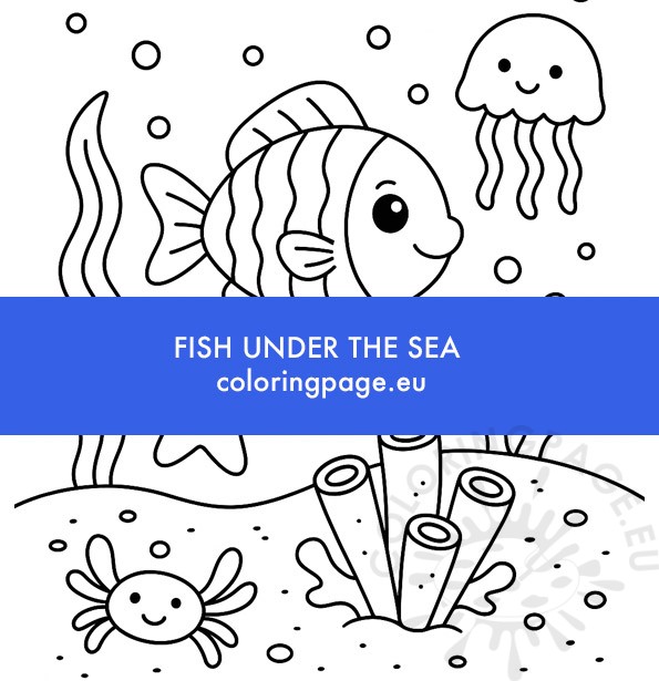 fish under the sea