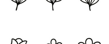 flower set