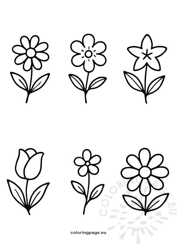 flower set
