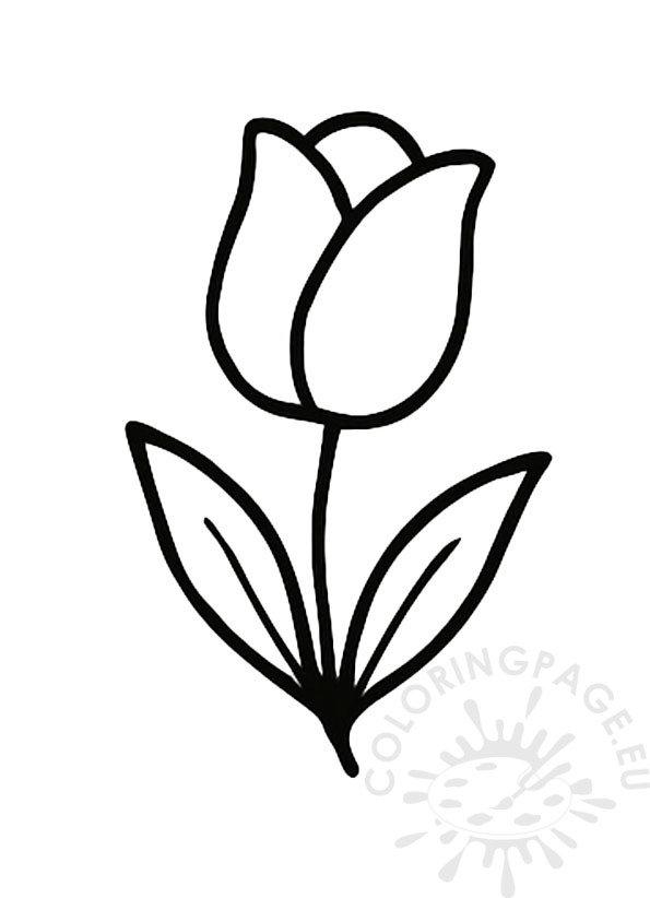 tulip doodle