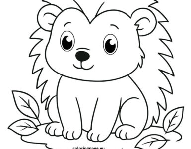 cute baby hedgehog