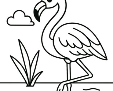 flamingo
