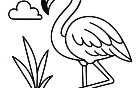 flamingo