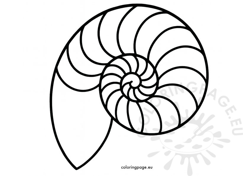 nautilus shell shape