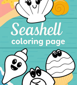 special seashell coloring page