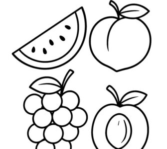 summer fruit