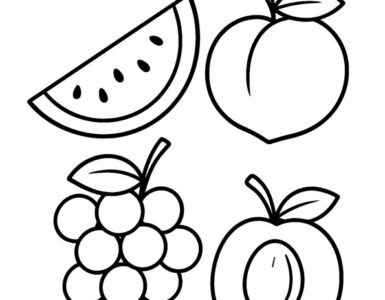 summer fruit