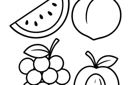 summer fruit