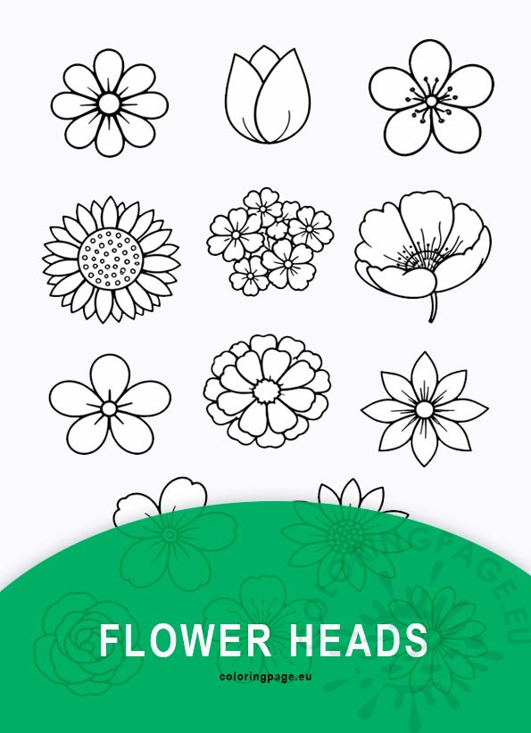 flower heads template