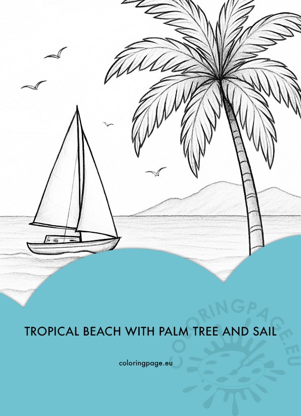 tropical beach with palm tree